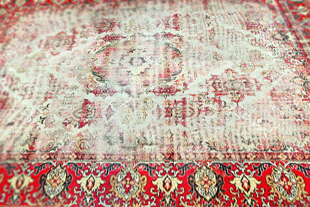 infested red rug on the floor