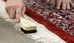 Using Brush For Cleaning Rug