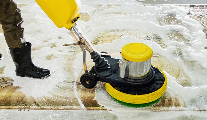 Person cleaning rug