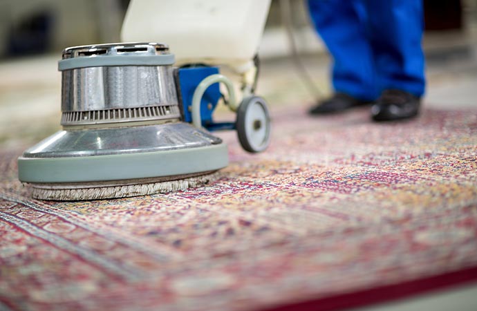 a professional steam cleaning a carpet