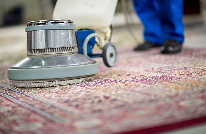 professional rug treatment using equipment