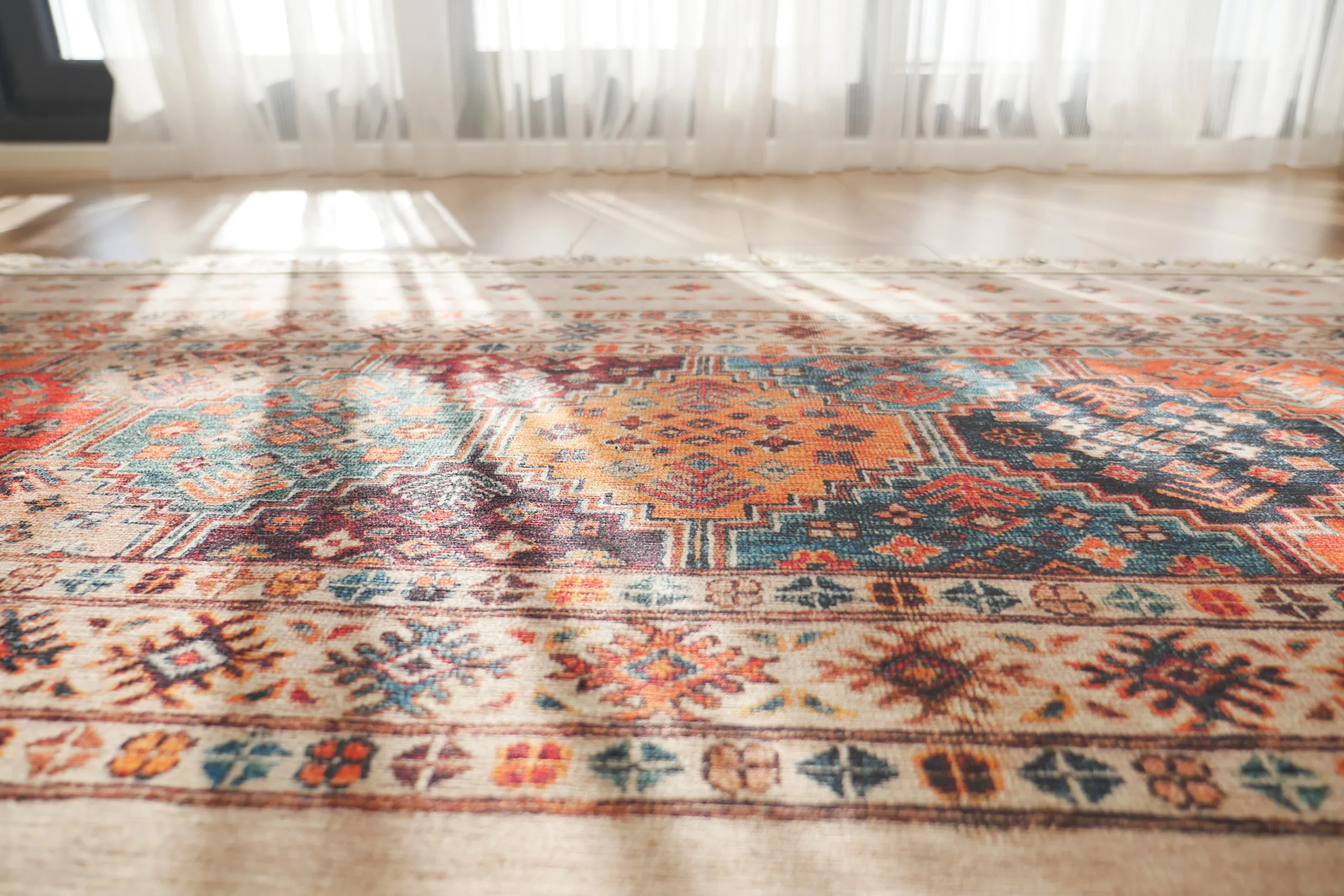 rug cleaning idaho