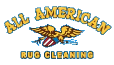 all american rug cleaner footer logo