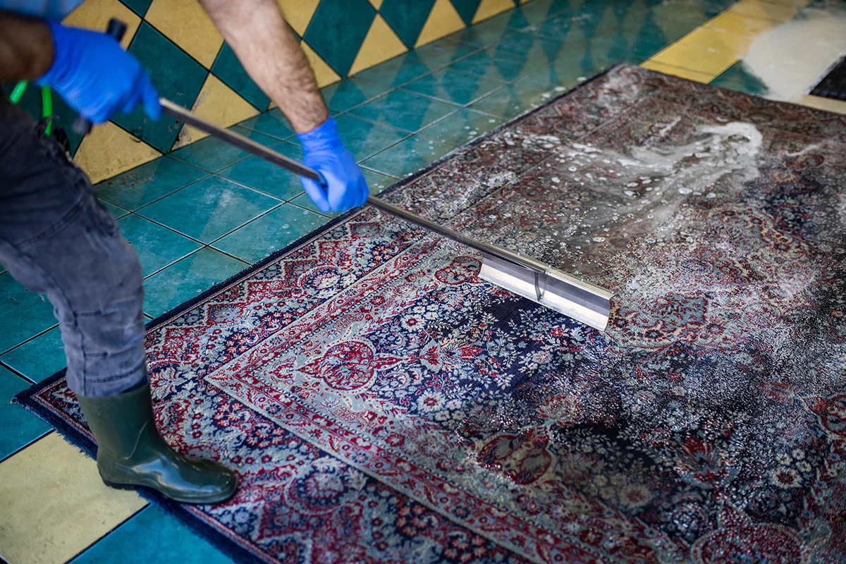 Rug cleaning service McCammon Idaho