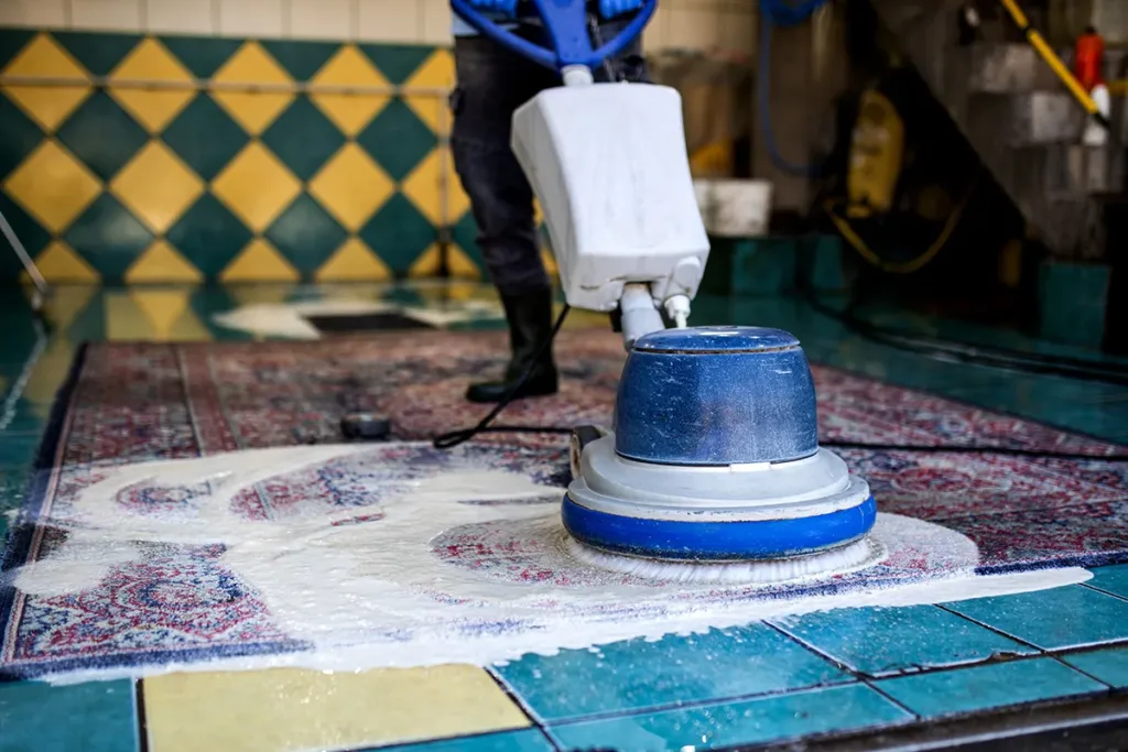 Person cleaning rug