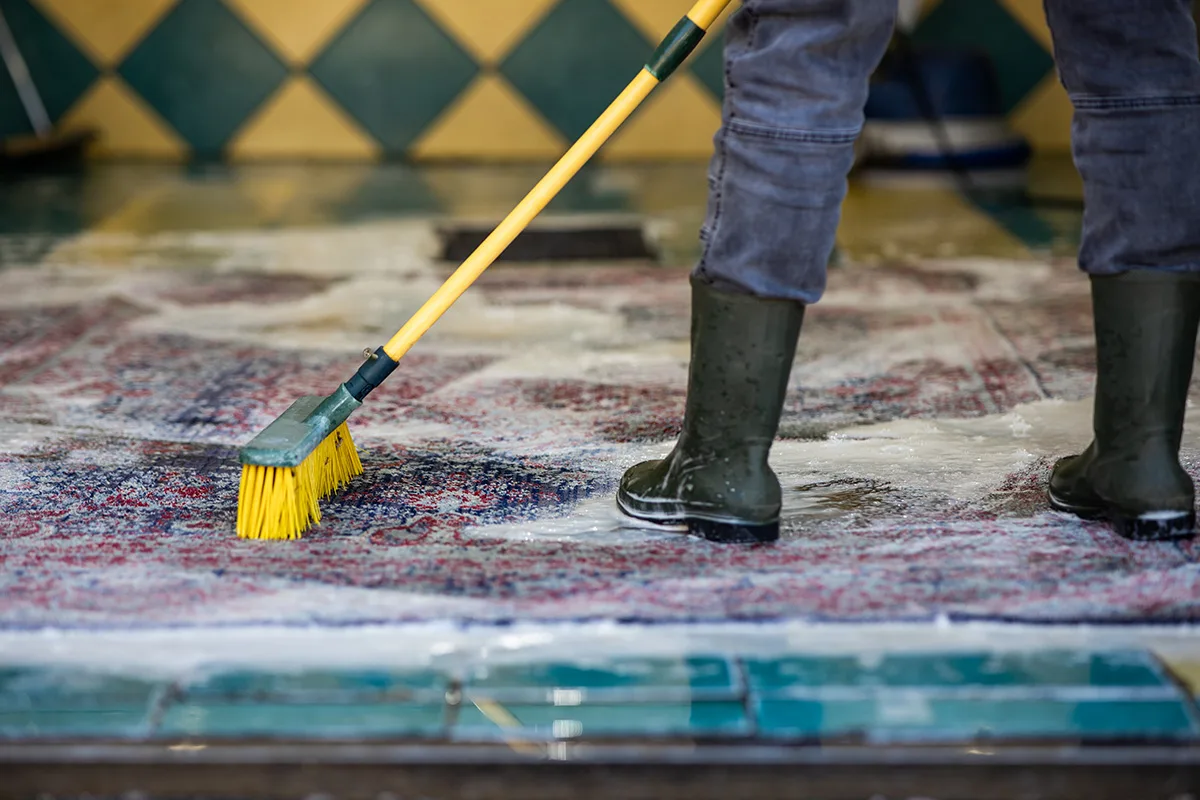 Worker cleaning rug Iona