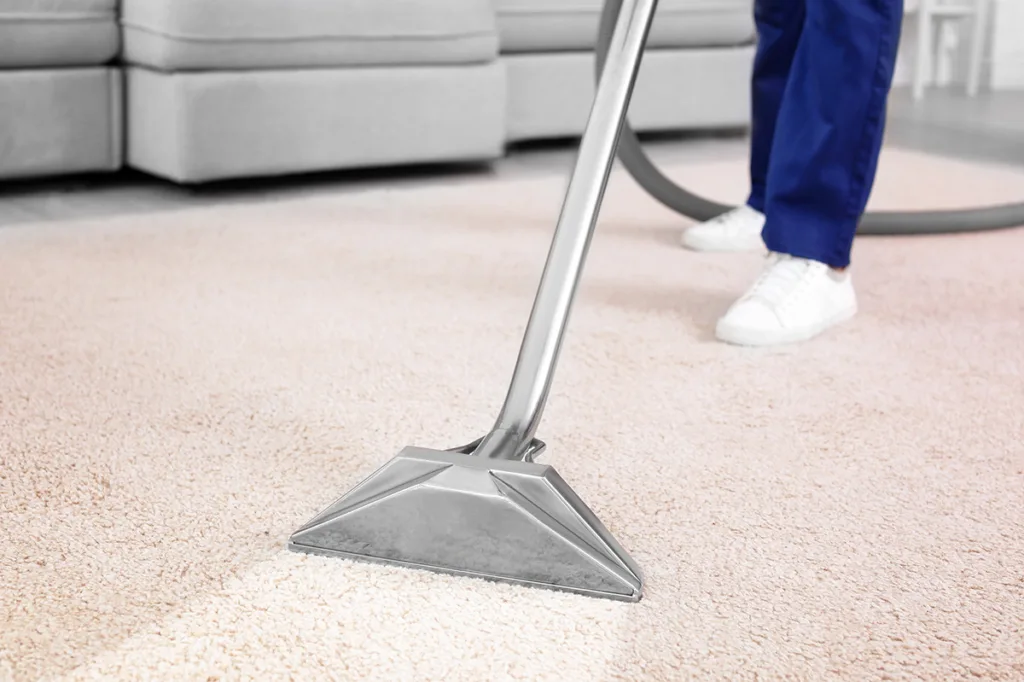 Rug cleaning services