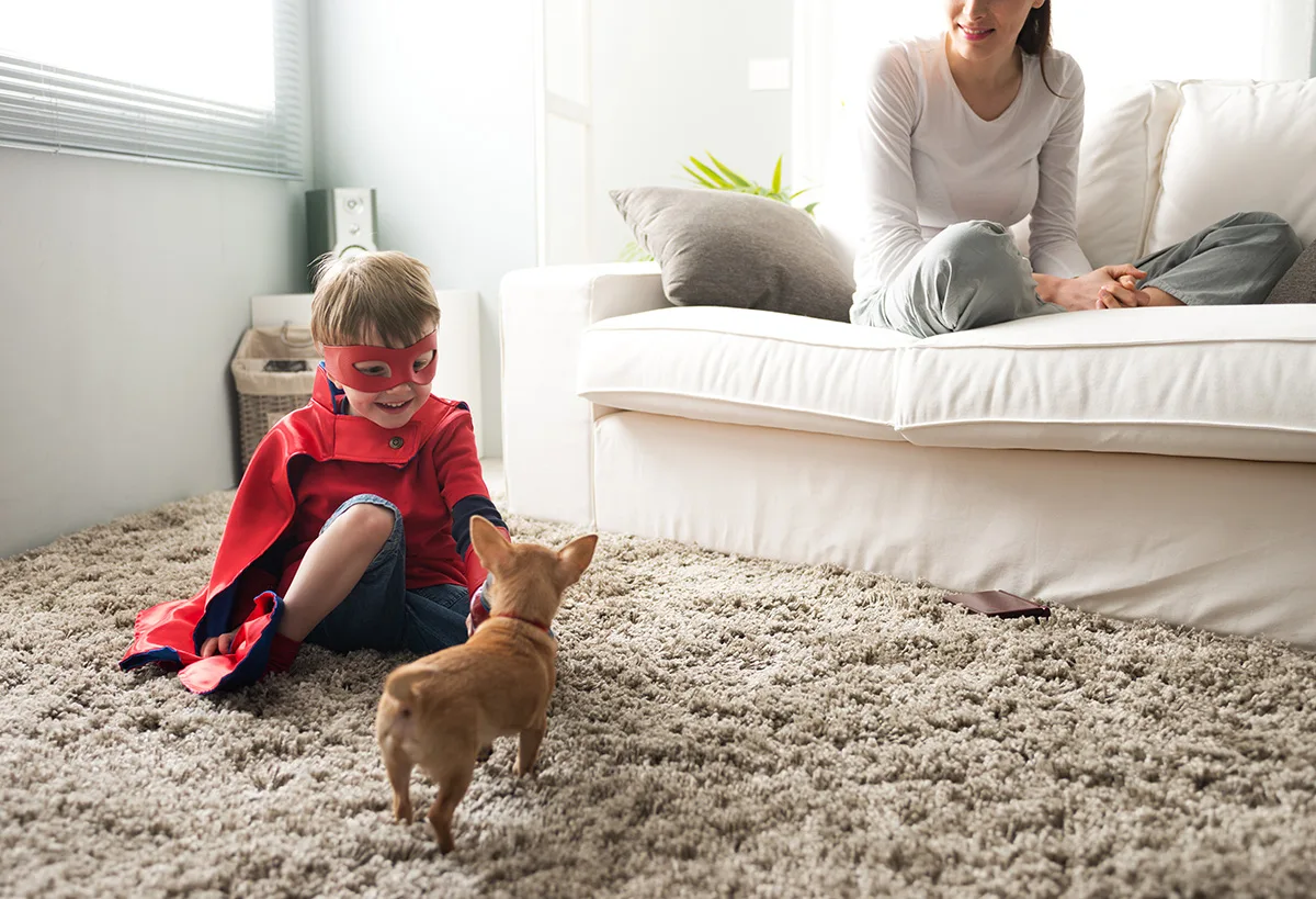 Rug Health & Your Home in Southeast Idaho