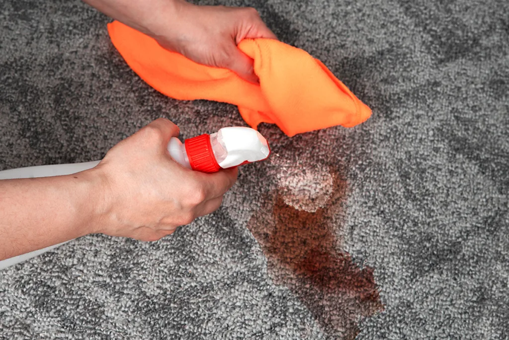 Blotting spills on rug